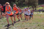 Senior Womens 2026 NEHL, Thornley Hall Farm, Peterlee, County Durham. Photo: David T. Hewitson/Sports for All Pics